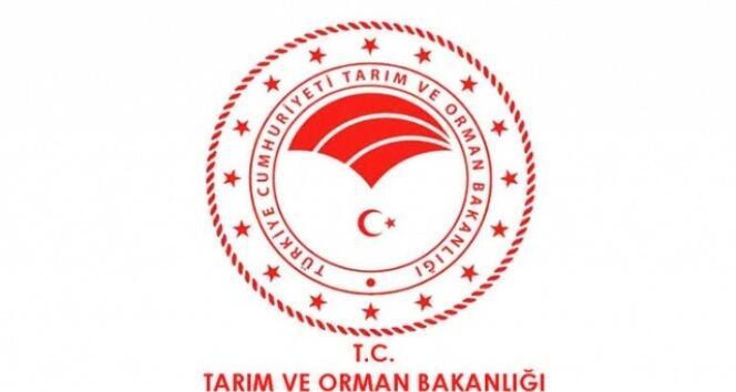 Tarım ve Orman Bakanlığı | OGM ile DSİ personel alımı başvuruları başladı mı? Şartlar belli oldu mu?